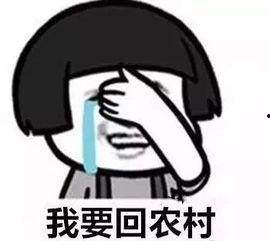 青海农村最新爆料消息,揭秘乡村振兴背后的故事